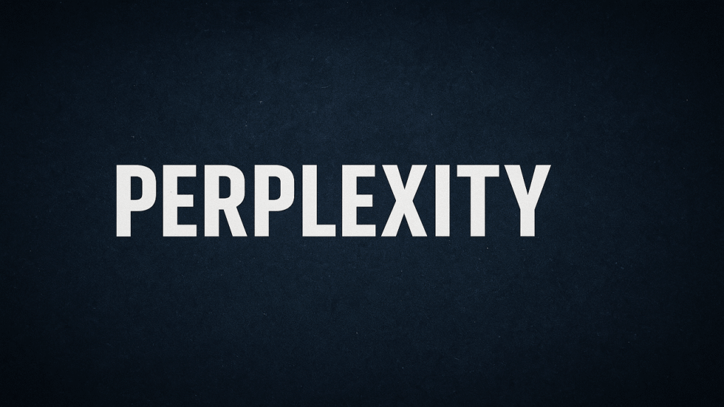 Perplexity Gets 300 Million Weekly Searches, Says CEO