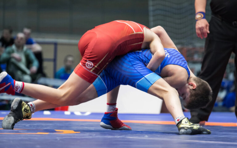 High-quality Wrestling Mat