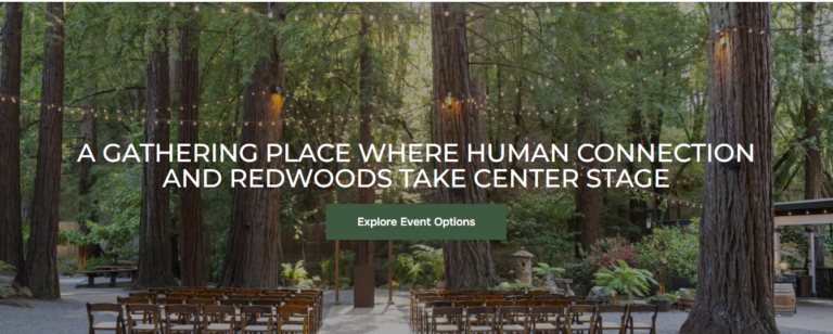 Corporate Retreat That Elevate Team Energy and Results