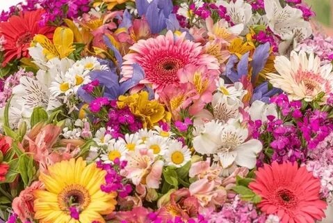 Why Seasonal Flowers Are Always a Beautiful Choice