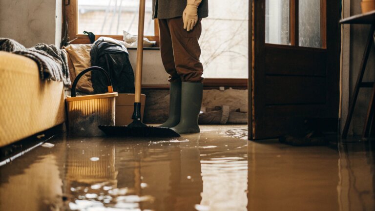 How Does Water Damage Restoration In Alexandria, VA Differ Depending On The Source Of The Leak?